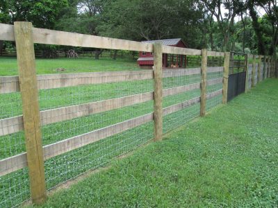 mapledale-fencing-140